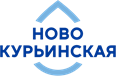 Новокурьинская Новокурьинская